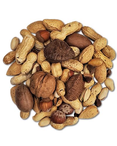 Vibrant mix of Higgins Boca Nuts in shell, featuring a variety of textures and shapes, perfect for medium to large birds.