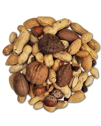 Vibrant mix of Higgins Boca Nuts in shell, featuring a variety of textures and shapes, perfect for medium to large birds.