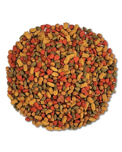 Vibrant Higgins InTune Cockatiel/Conure Pellets, showcasing natural fruit-colored, 1/4-inch pellets for bird nutrition.
