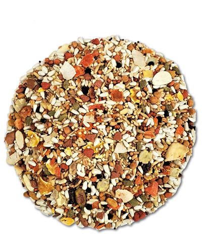Vibrant mix of Higgins Safflower Gold Natural Tiel/Conure seed diet with colorful carrots, raisins, and tropical fruit chunks.