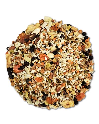Vibrant Higgins Mayan Yucatan Blend with blueberries, pine nuts, chamomile, and basil in a natural, gourmet bird food mix.