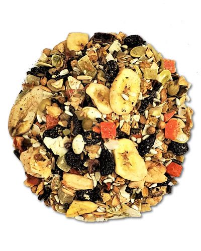Vibrant mix of Higgins Large Fruit & Veggie treat for hookbills, featuring colorful dehydrated fruits, veggies, and seeds.