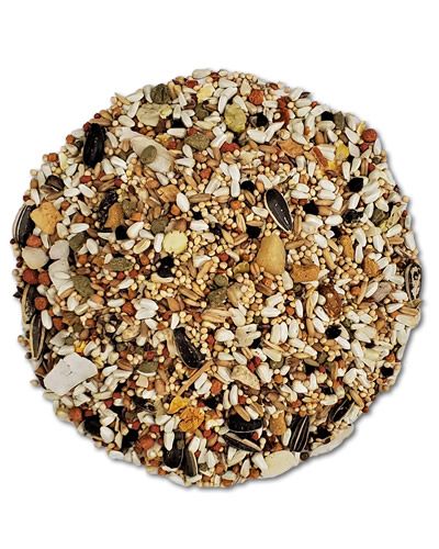 Vibrant Higgins Sunburst Conure Gourmet Mix with colorful fruits, vegetables, seeds, nuts, and grains for healthy birds.
