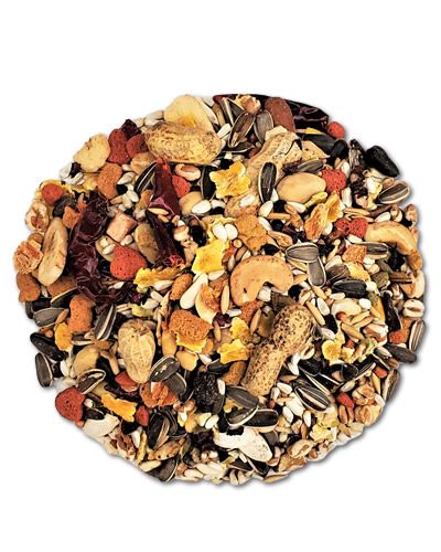 Vibrant mix of fruits, vegetables, seeds, grains, nuts, and legumes in Higgins Sunburst Parrot Gourmet Mix for healthy birds.