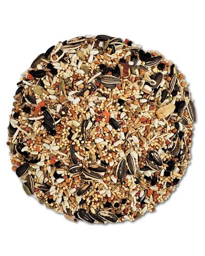 Vibrant mix of fruits, vegetables, seeds, grains, and nuts in Higgins Sunburst Cockatiel Gourmet Mix, sold by the pound.