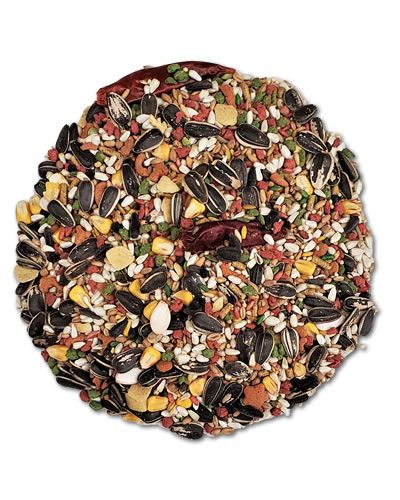 Vibrant mix of seeds and grains in Kaytee Forti Diet Pro Health Parrot food, packed with nutrients for parrot wellness.