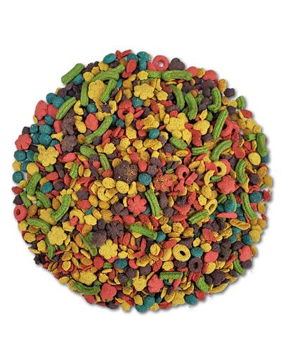 Vibrant Kaytee Exact Rainbow Parrot/Conure food nuggets in a colorful mix, designed for optimal bird nutrition and health.