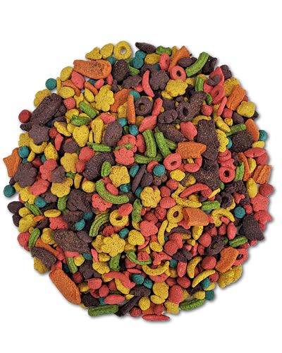 Vibrant Kaytee Exact Rainbow Large Parrot food nuggets in a colorful mix, offering precise nutrition for healthy birds.