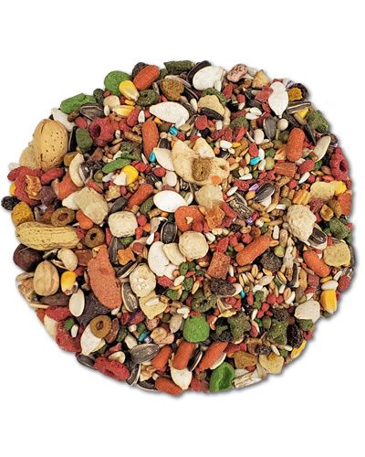 Vibrant mix of Kaytee Fiesta Max Parrot food with colorful fruits, veggies, nuts, and seeds for a nutritious bird feast.