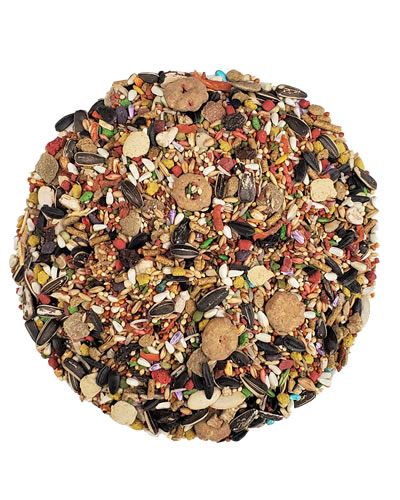 Vibrant mix of Kaytee Fiesta Max Cockatiel food with colorful fruits, veggies, nuts, and seeds for a nutritious bird feast.