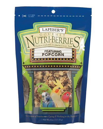 Crunchy 4oz Sm Bird Popcorn Nutri-Berries Treat, a delightful mix of seeds, grains, and sweet caramel aroma for birds.