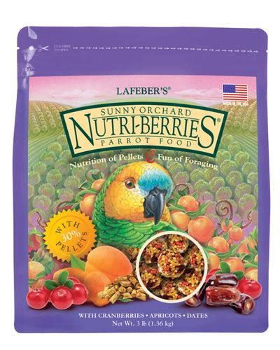 Delicious Lafeber's Sunny Orchard Nutri-Berries for parrots, featuring vibrant apricots, raisins, and cranberries in compact, easy-to-hold balls.