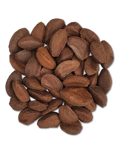 Crunchy Brazil nuts in their natural, rugged shells, perfect as a healthy treat or foraging snack for birds.