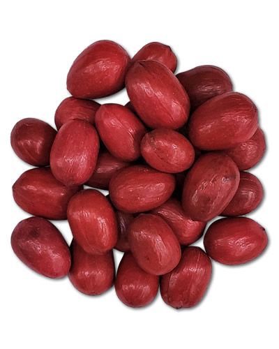 Fresh pecans in their natural shell, perfect for foraging toys or snacking, showcasing their rough, brown exterior.