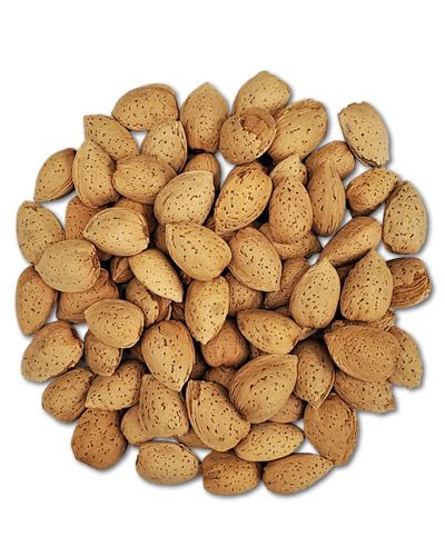 Crunchy whole almonds in their natural shell, perfect as a nutritious foraging treat for birds like Greys and Eclectus.