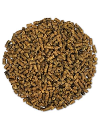 Roudybush Medium Daily Maintenance Pellets in a vibrant pile, ideal for small macaws and cockatoos transitioning diets.
