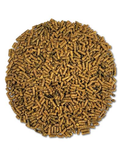 Small Roudybush Daily Maintenance Pellets in a vibrant pile, perfect for pet birds like cockatiels and African Greys.