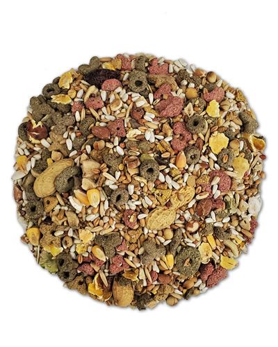 Vibrant mix of tropical fruits and nutrient-rich seeds in Sun Seed Vita Large Hookbill Prima, bursting with orange essence.