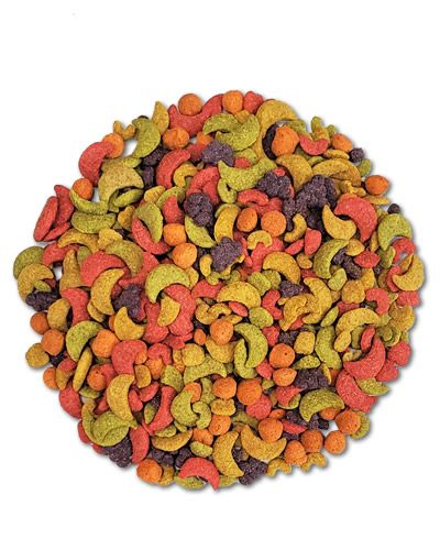 Vibrant mix of Zupreem Large Parrot Fruit Blend pellets, bursting with colorful fruit flavors for macaws and cockatoos.