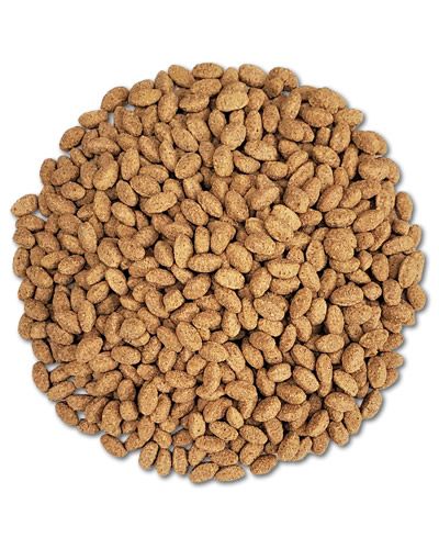 Vibrant ZuPreem Natural Parrot/Conure Pellets, a wholesome bird food packed with essential vitamins and minerals for medium to large parrots.