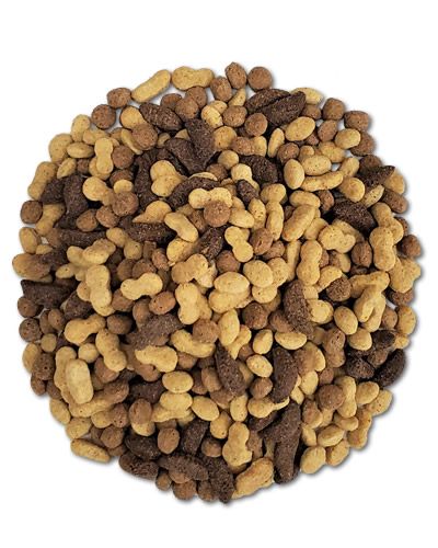 Vibrant NutBlend pellets by Zupreem, showcasing a mix of colorful, nut-flavored bird food for medium to large parrots.