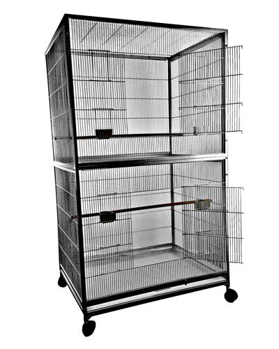 Spacious 40"x30" XL Flight Cage by A&E, featuring a sturdy powder-coated finish, multiple perches, and easy-access doors for small birds.