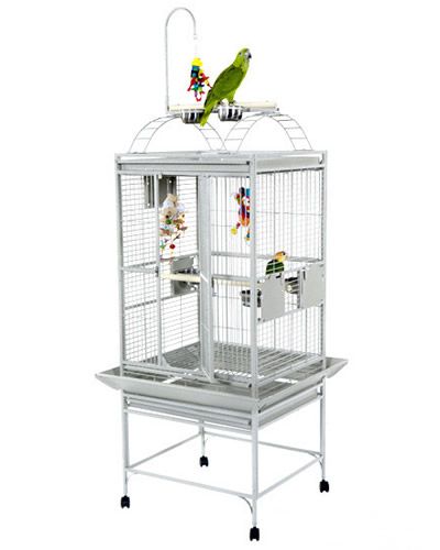 Gleaming 24x22 stainless steel dome top bird cage with secure locks, feeder cups, and a perch, perfect for small parrots.