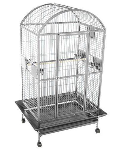 Sleek 36x28 stainless steel A&E bird cage with a dome top, featuring secure locks, feeder cups, and easy-rolling casters.