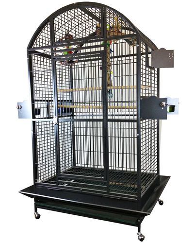 Spacious 40x30 green dome-top bird cage with a durable, non-toxic powder-coated finish, ideal for macaws and cockatoos.