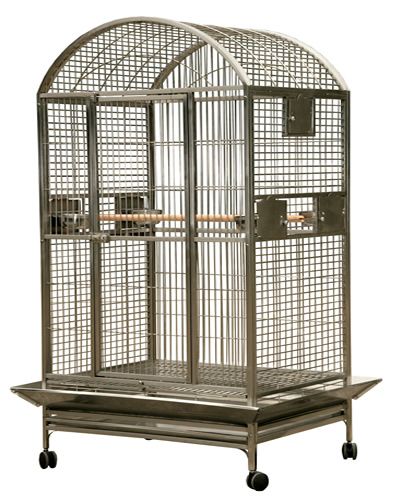 Spacious 48x36 stainless steel dome-top bird cage with secure locks, feeder cups, perches, and easy-rolling casters for large birds like macaws.