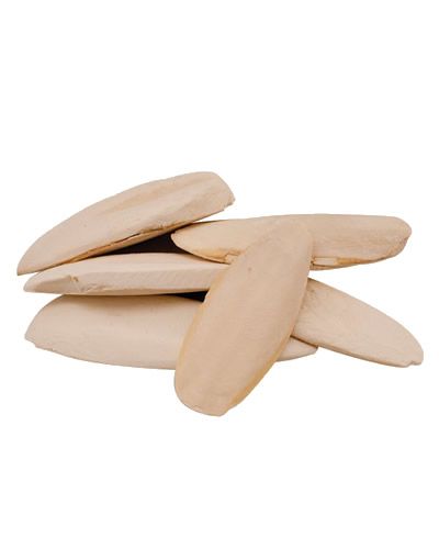 Natural 5lb bulk pack of 4-6 inch cuttlebone pieces, some broken, with a rough, textured surface for pet birds.