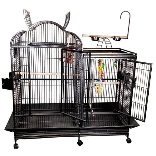 Spacious 42x26 AE Bird Cage with a removable divider, play top, ladders, and a durable, non-toxic powder-coated finish.