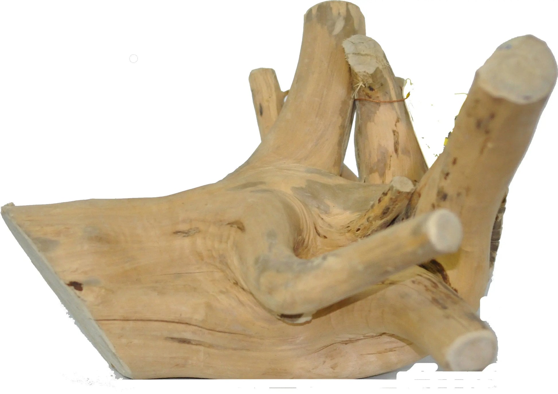 Small Java Wood Reptile Branch A&E Cage Co