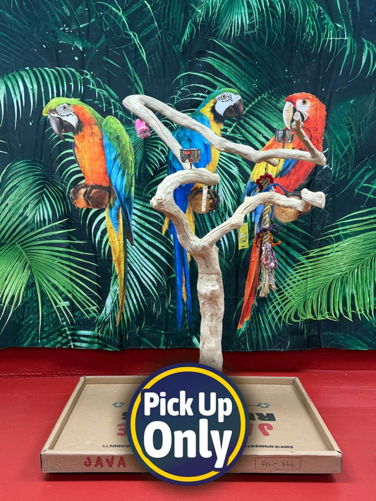 Natural Java Tree Bird Stand with anti-slip perch and toy hooks, ideal for medium to large birds like Macaws and Cockatoos.