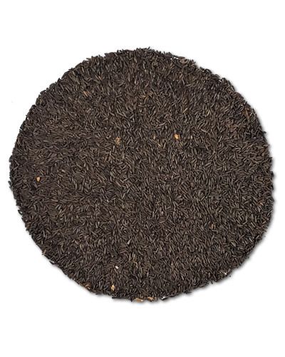 Vibrant pile of 20lb Nyjer Seed, a tiny black seed loved by American Gold Finches, perfect for bird feeders.