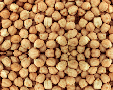 Crunchy 20lb bulk roasted chickpeas, golden and textured, perfect as a wholesome treat for birds.