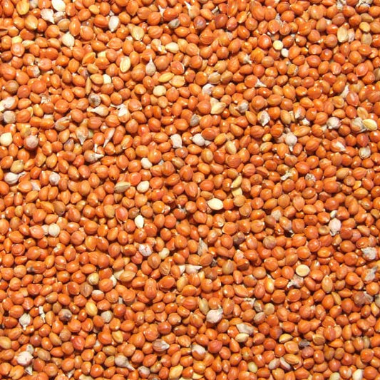 Vibrant red proso millet in a 20lb bulk bag, perfect for crafting custom bird seed mixes with a rich, grainy texture.