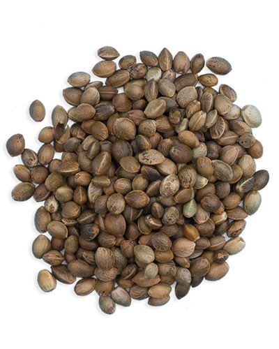 Close-up of 20lb bulk hemp seed, showcasing its tiny, nutrient-rich grains packed with proteins, vitamins, and minerals.