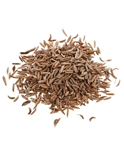 Vibrant pile of 20lb caraway seeds, perfect for bird feed, showcasing their rich brown hue and aromatic texture.