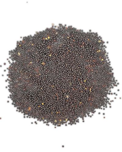 Close-up of 20lb bulk canola seed, showcasing tiny, dark, round seeds perfect for attracting birds to your feeder.