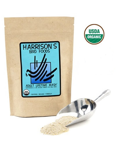 Sprinkle of Harrison's Adult Lifetime Mash, a fine, organic bird food powder in a 1lb bag, designed for healthy adult birds.