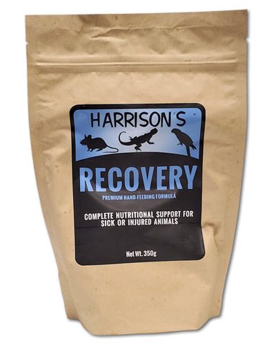 Detailed view of Harrison's 350g Recovery Formula, a specialized nutritional support mix for sick or injured birds.