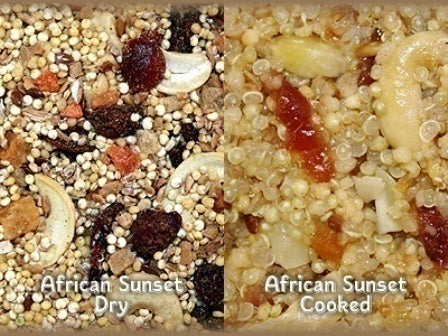 Vibrant bowl of Higgins African Sunset bird food, packed with colorful quinoa, sweet potato, papaya, and cashews.