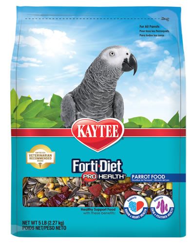 Vibrant mix of seeds and grains in Kaytee Forti Diet Pro Health Parrot, packed with nutrients for a healthy bird life.