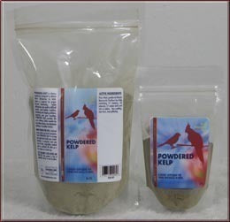 Vibrant green powdered kelp in a 3oz container from Morning Bird, a vital iodine supplement for healthy bird feathers.