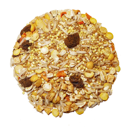 Cinnaspice Delight Bird Street Bistro