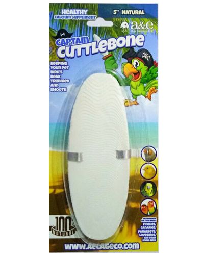 Natural 5-inch cuttlebone from Captain Cuttlebone, a rough-textured, oval-shaped bird supplement for beak health and calcium.