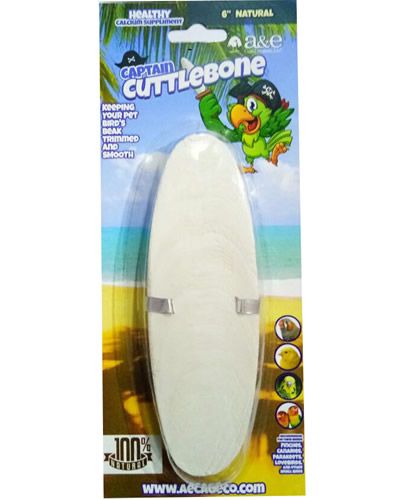 Natural 6-inch Captain Cuttlebone with a textured, bone-like surface, ideal for bird beak health and calcium support.