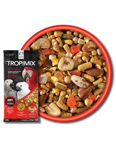 Vibrant mix of grains, nuts, fruits, and veggies in Hari TropiMix 20lb Large Parrot food, perfect for Macaws and Cockatoos.