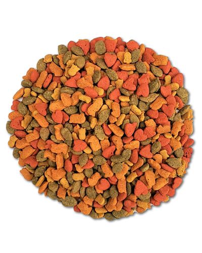 Vibrant 18lb Higgins InTune Parrot Pellets with colorful, natural fruit bits like bananas and cranberries for healthy birds.